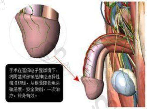 门诊部2025年价格表