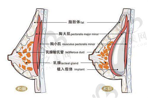 连锁机构服务保护