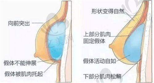 医院实力与网友反馈