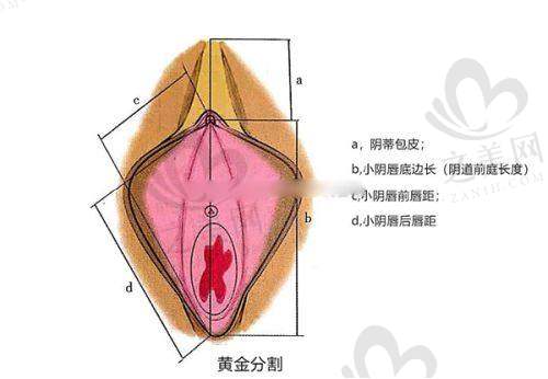 东莞东城华美医疗美容门诊部项目