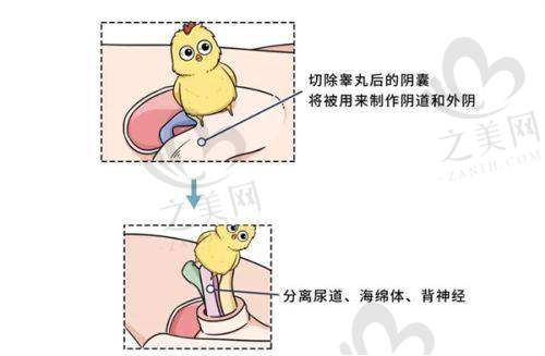 其他部分医院各有特色