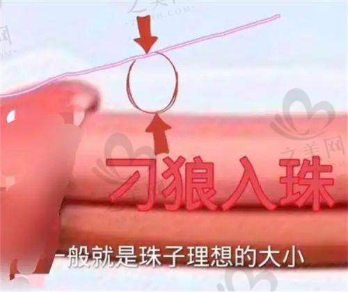 醫(yī)院規(guī)模與資質(zhì)