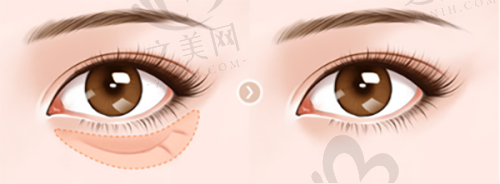 特色医生团队