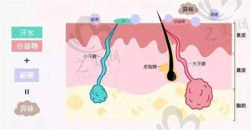 门诊部理念与使命