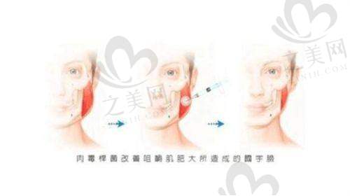 美立方是否靠谱