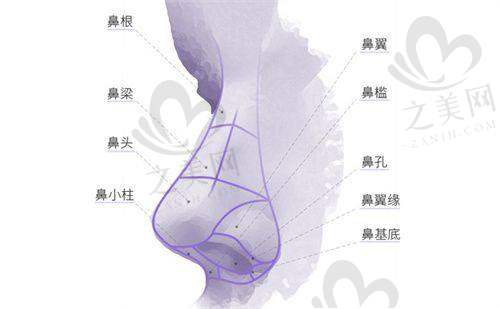 医生团队实力强大