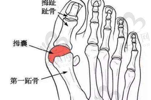 如何联系北京来美安王恒医生