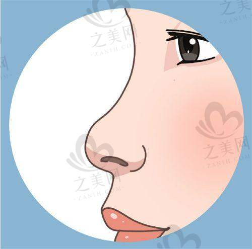 顾客体验与反馈