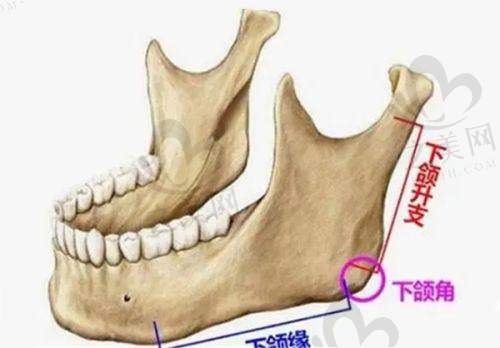 透明的价格体系