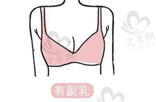 多学科发展与高新科技设备引进