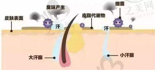 北京双眼皮医生排行榜相关信息
