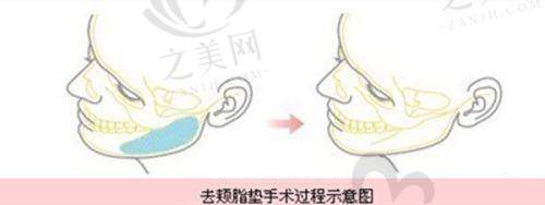 医生介绍
