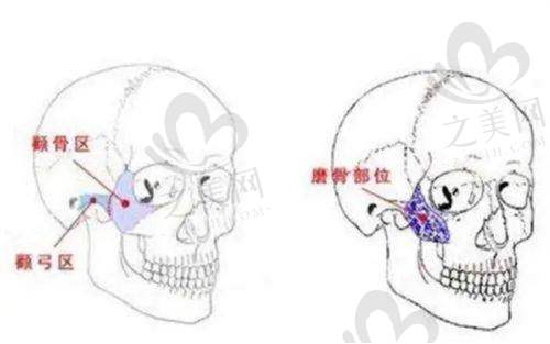 用户评价与整体可靠性