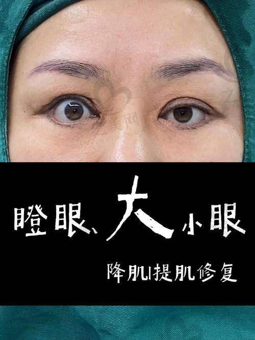 技术优势显著突出