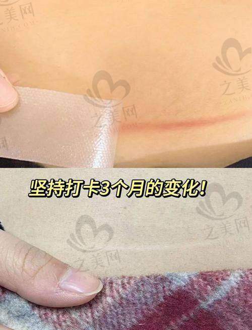 排名情况：位居前列，实力获得广泛认可
