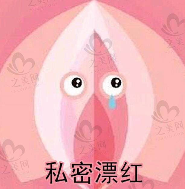 成都八大处医疗美容医院有私密整形吗?有多种私密项目、实力医生、先进设施一应俱全