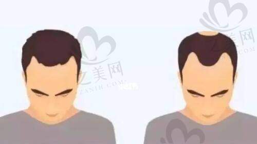 综合实力排名靠前