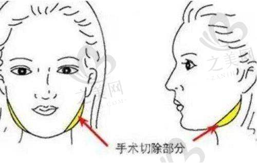 特色技术的私立医院