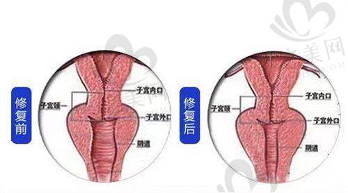 口碑与可靠性：正规可靠，医生团队强大