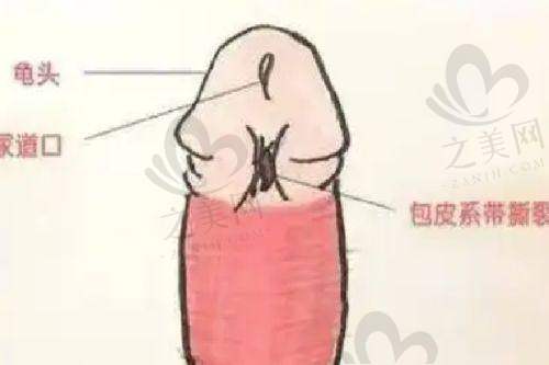 天津医 科 大学总医院多位医生各有专长