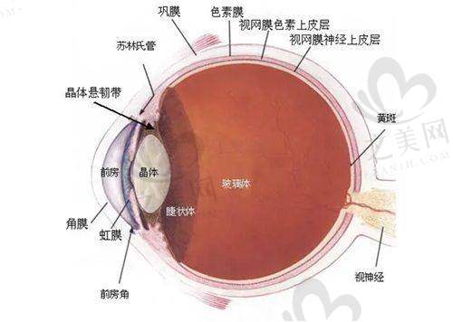 郑州其他眼科医院特点