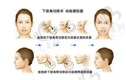 核心优势十分突出