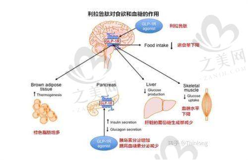热门项目价格参考