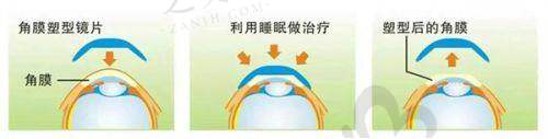 各医院价格相关信息