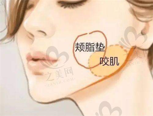 重庆华美整形医院:资质正规、医生强大、项目丰富,价格透明,助你轻松实现变美梦想