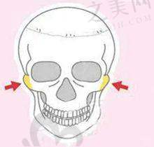 其他非凡医生:各有专长的整形能手