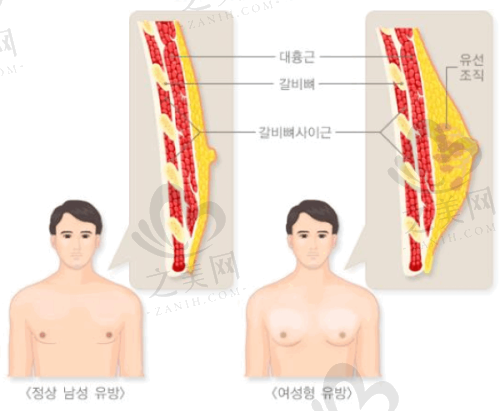 昆明医 科 大学第一附属医院:综合实力强劲