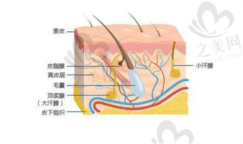 术后护理费用情况