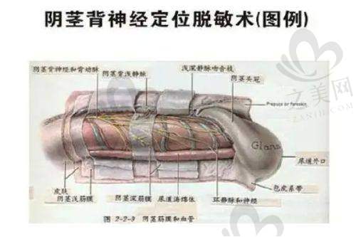 天津综合排名皮肤科医院