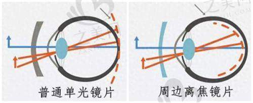 收费合理有因