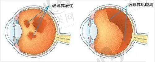 挂号费用需了解