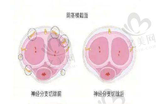 北京童仁医疗美容门诊部技术