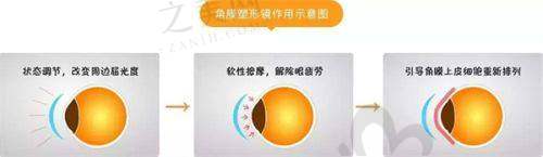 诊疗项目丰富多样