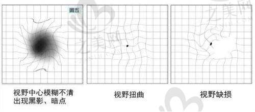 行业排名靠前且评价良好