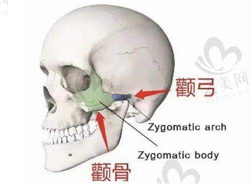 专精医生保驾护航