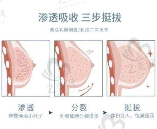优质服务：个性化关怀体验