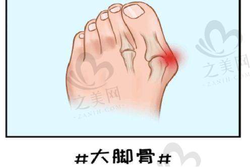个性定制体系贴心