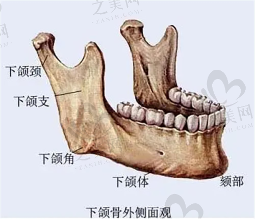 瑞蓝2号玻尿酸优势:成效显著又安心