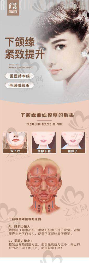 多样热门项目，满足不同需求