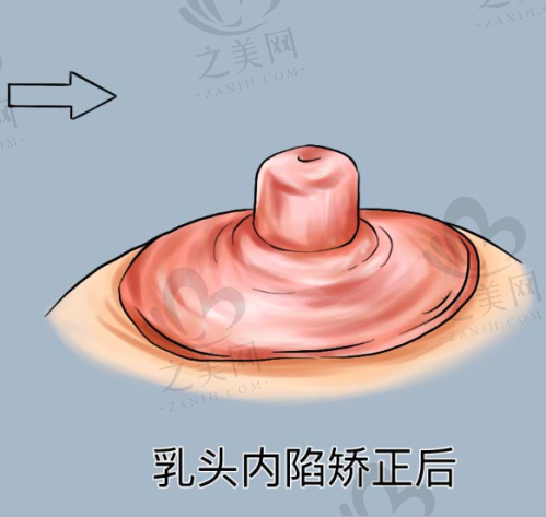 各医院擅长项目及技术亮点总结