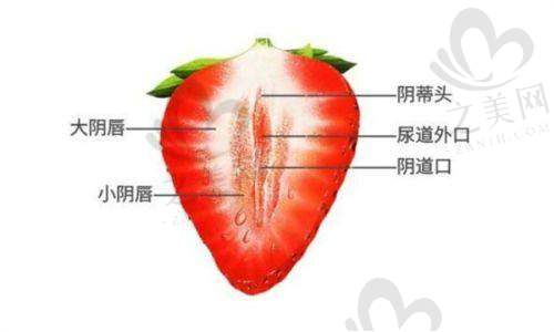 生物补片手术相关知识