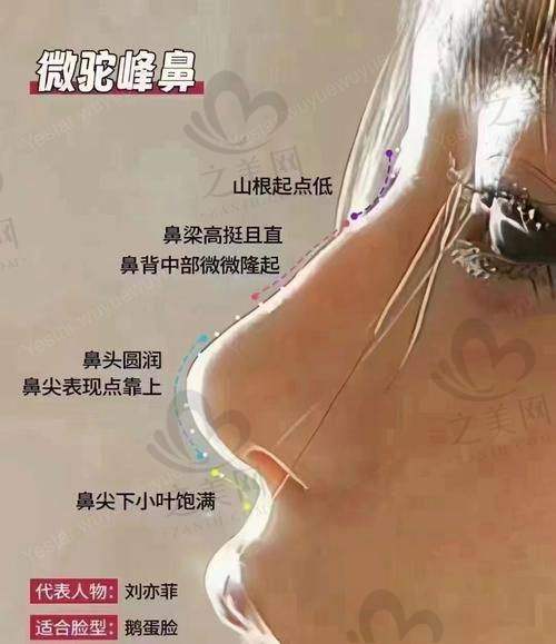李理医生风格自然