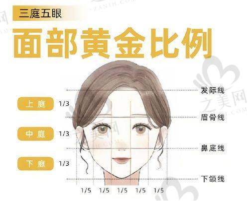 王军 医生隆鼻技术优势显著