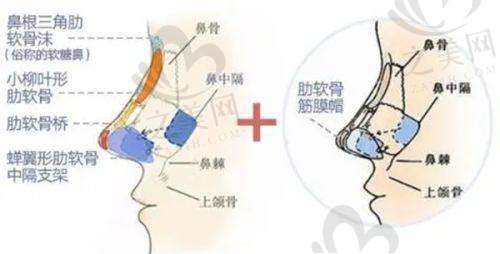 公正价格良好口碑