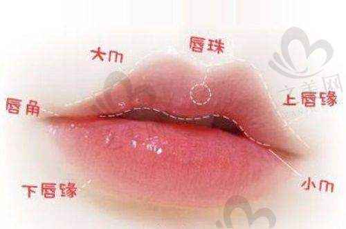 阴唇修复项目