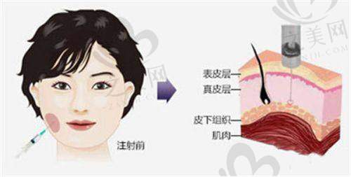 顾客的反馈与口碑